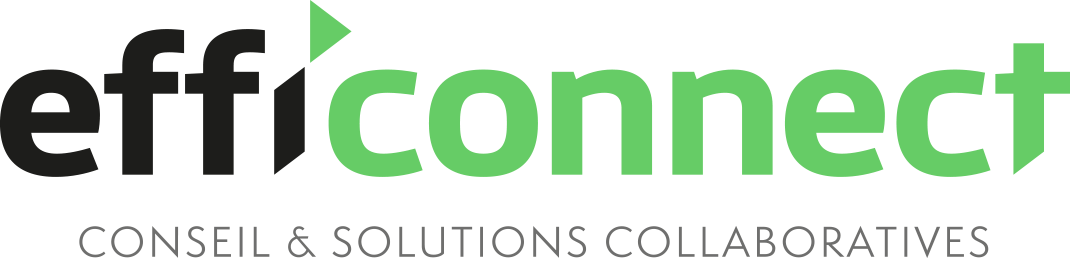 Efficonnect, conseils et solutions numériques